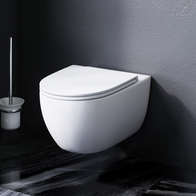 Wall-hung rimless WC FlashClean