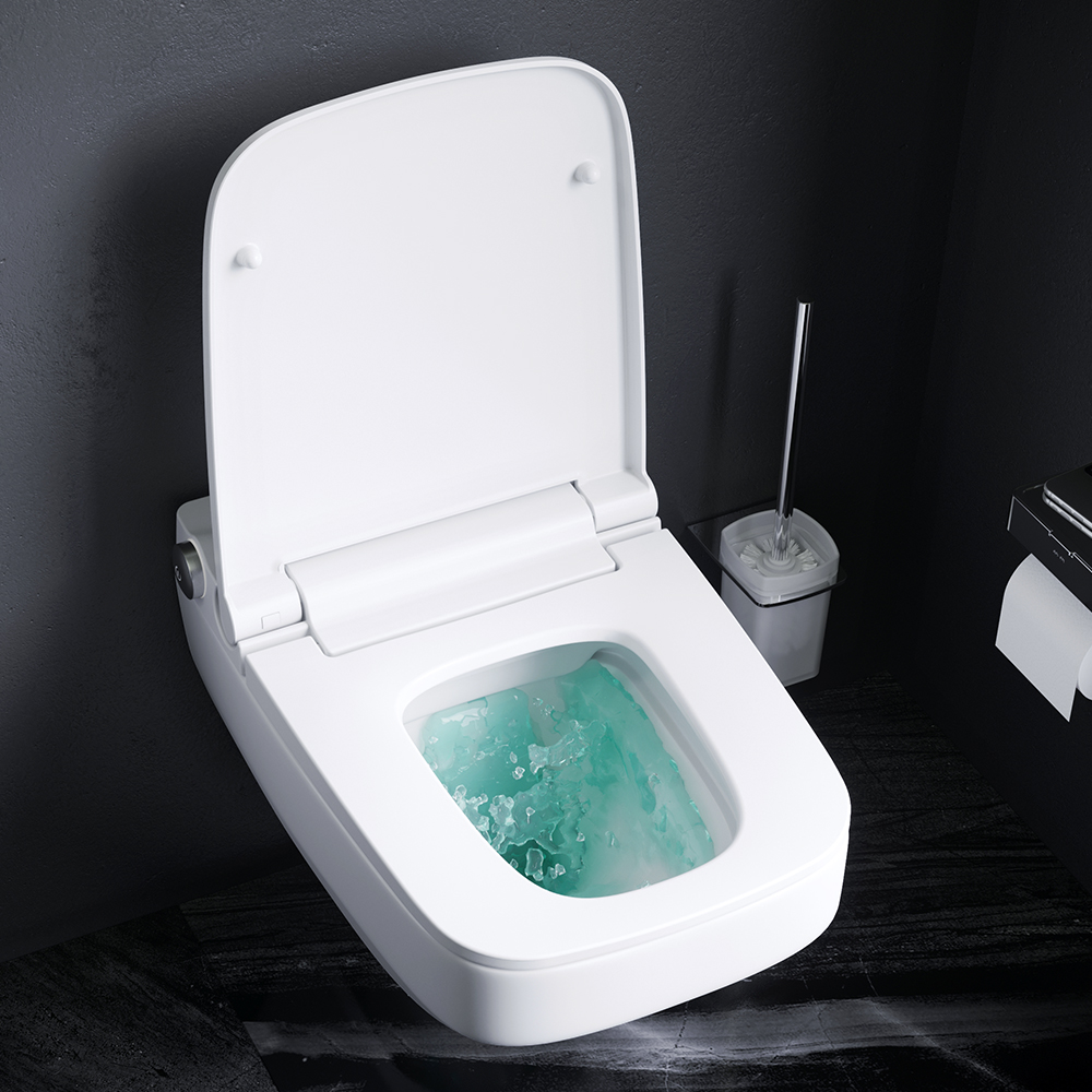 CCCIB1700SCAG FlashClean (rimless) wall-mounted toilet with TouchReel electronic e-bidet seat